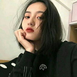 kaiyun下载官网