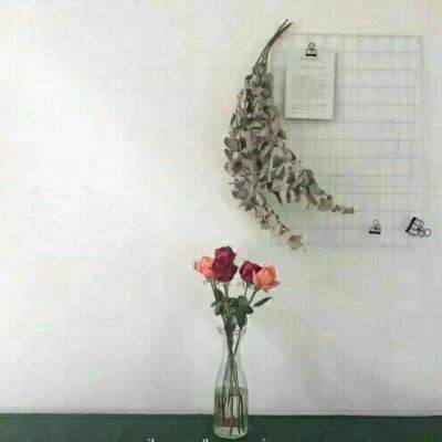 开运·kaiyun下载手机版截图